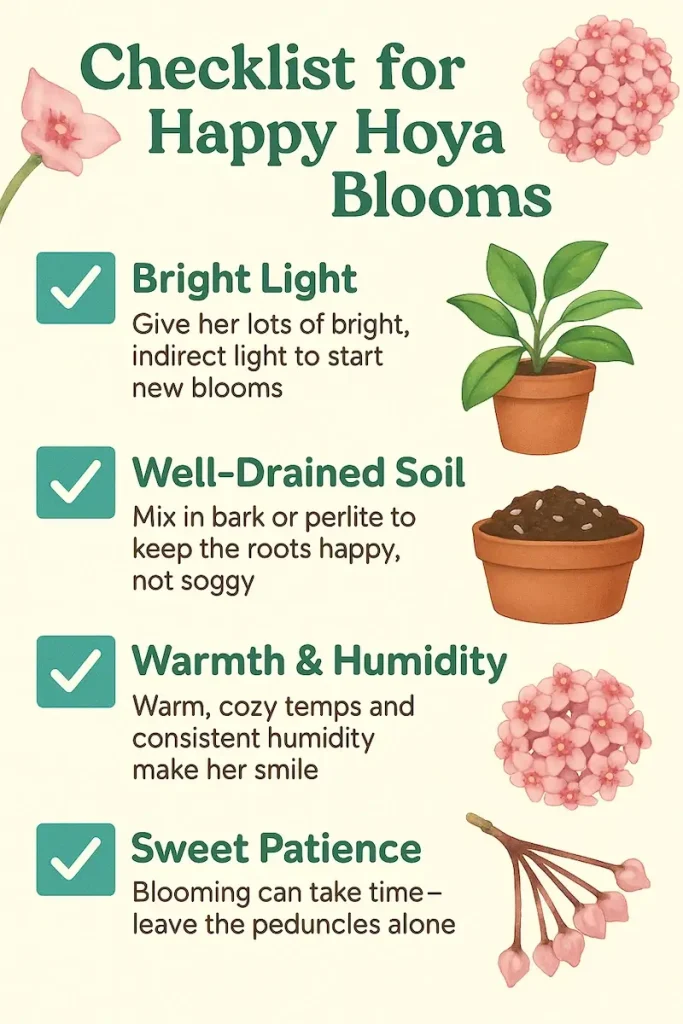 Infographic titled 'Checklist for Happy Hoya Blooms' showing light, soil, humidity, and peduncle care tips with illustrated Hoya flowers and icons