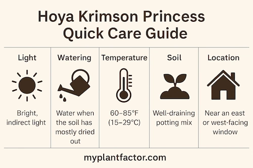 Infographic showing how to care for Hoya Krimson Princess, including light, watering, temperature, soil, and ideal location