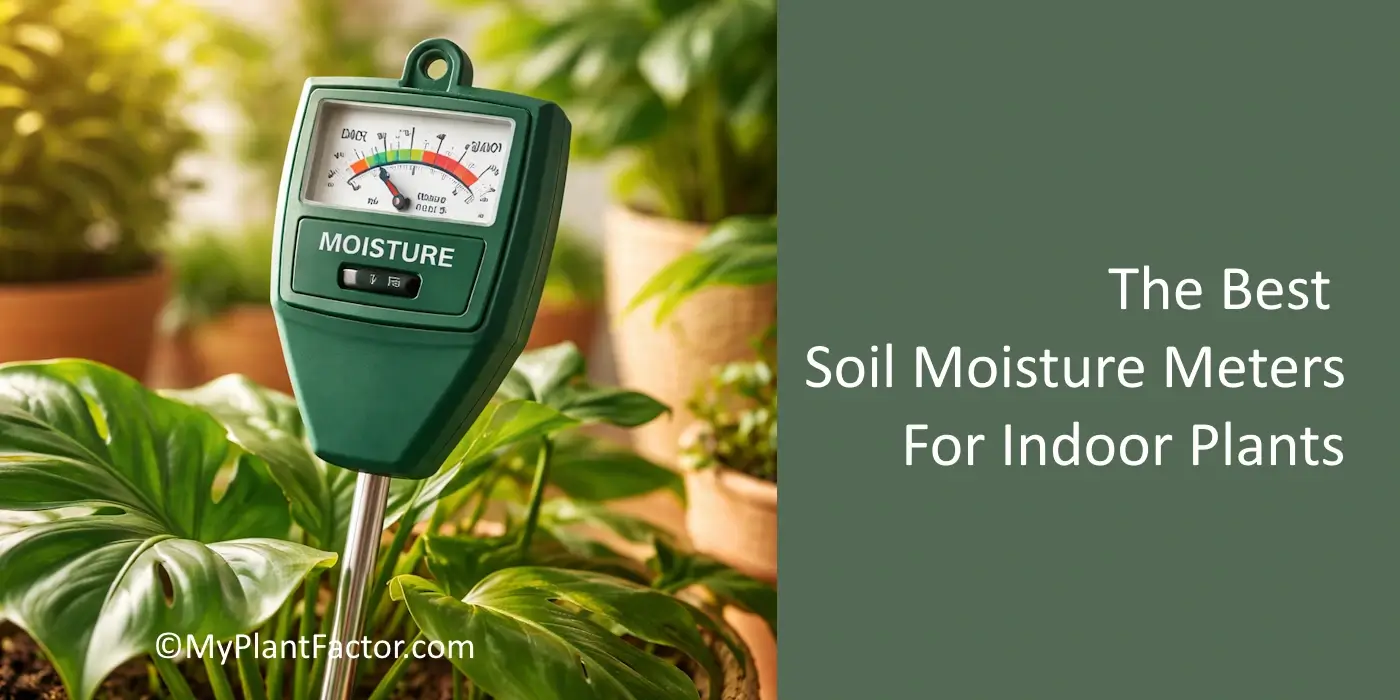 Soil moisture meter probe inserted into indoor plant soil to measure moisture levels in a houseplant pot