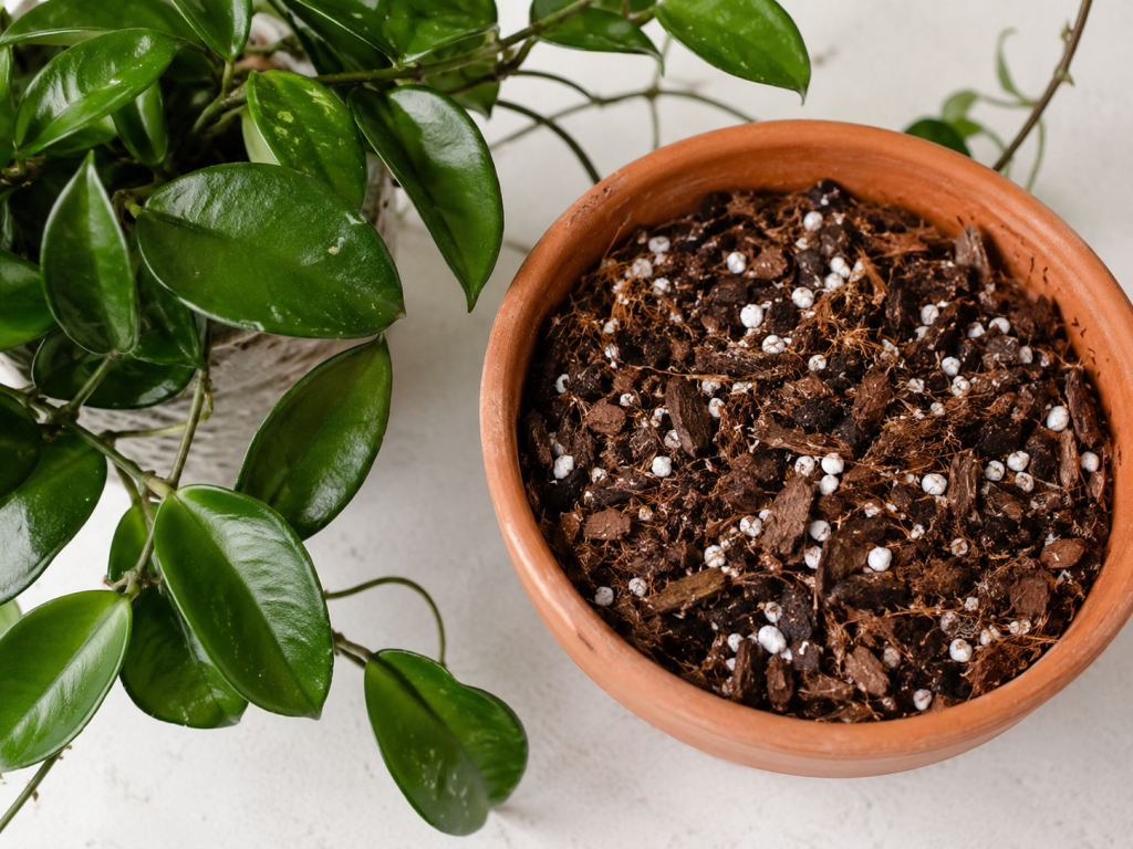 best potting mix for hoyas bark based perlite coco coir