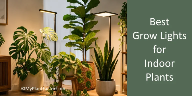 the best grow lights for indoor plants are essential items for any plant parent