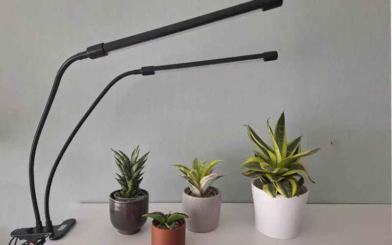 grow lights