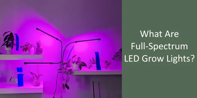 houseplants growing under full-spectrum led grow lights